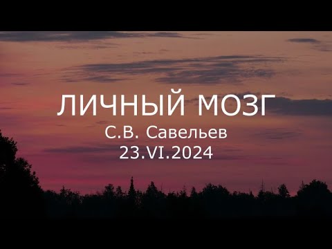 Видео: С.В. Савельев - Личный мозг