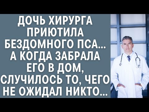 Видео: Дочь хирурга приютила бездомного пса… А когда забрала его в дом, случилось то, чего не ожидал никто…