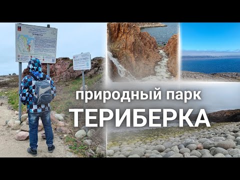 Видео: 05.06.2024 Териберский парк