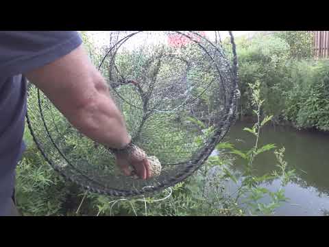 Видео: ЛОВЛЯ НА ВЕРШУ ВОТ ТАК УЛОВ