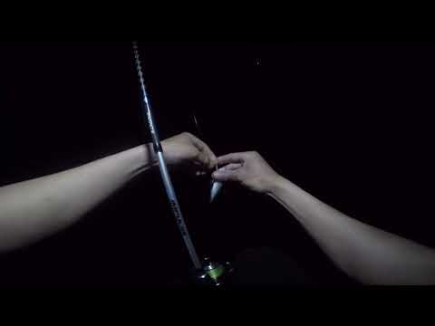 Видео: Rockfish, Рыбалка в Адлере, Ставриды