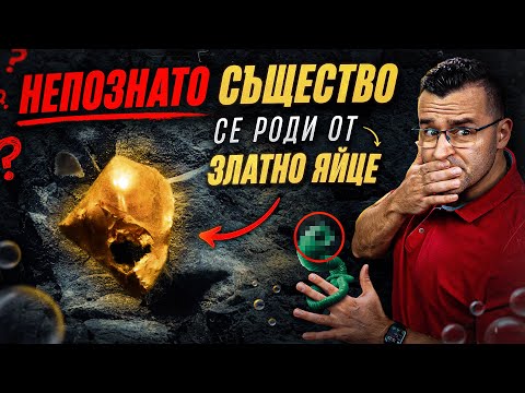 Видео: Учени са в ПОТРЕС - Какво СЪЩЕСТВО се е РОДИЛО в ОКЕАНА? - Clash News еп. 12