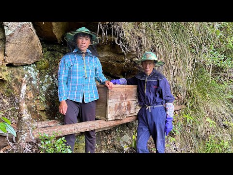 Видео: Гонг нарезает мед на скалах и собирает 300 фунтов