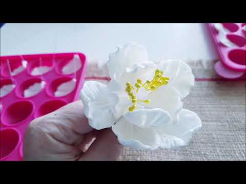 Видео: Сахарные цветы.