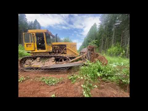 Видео: Бульдозер Т 170 чистка просеки от поросли выкорчёвываю пни)чайки прилетели)