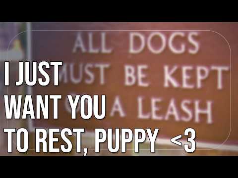 Видео: [ASMR] время для тебя, милый глупый щенок :)