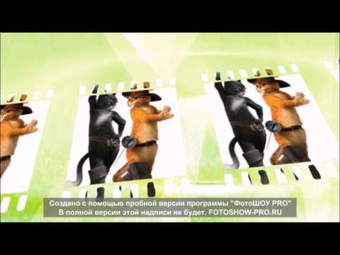 Видео: Кот в сапогах и Киса Мягколапка