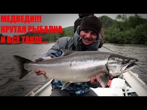 Видео: Поехал как турист на Дальний Восток. МЕДВЕДИ, КРУТАЯ РЫБАЛКА и всё такое...