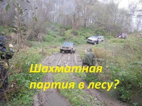 Видео: Ход ферзем! Но при чем тут Шахматы?)