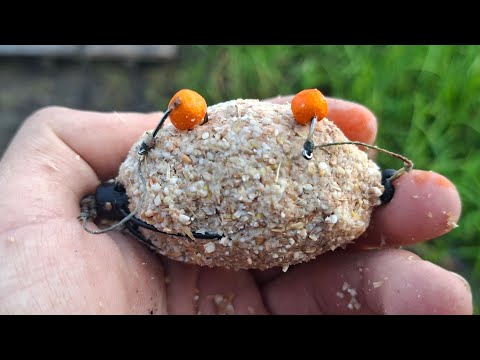 Видео: КАВУН РВЕ ВСІ РЕКОРДИ! КАРАСІ КОРПИ АМУРИ!!
