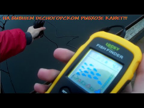 Видео: А что на бывшем Десногорском рыбхозе???