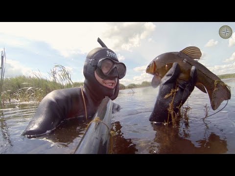 Видео: ПОДВОДНАЯ ОХОТА НА ТОРФЯНИКАХ. НАСТЮХА и Я (КОМПАС №58)