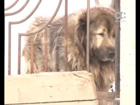 Видео: Тарифы на эвакуацию машин в Красноярске зафиксируют