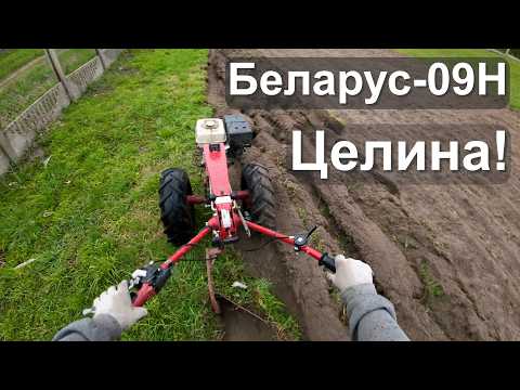 Видео: Вспашка и культивирование земли по целине под картофель мотоблоком МТЗ Беларус-09Н сезон 2025 года.