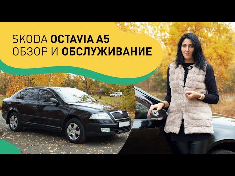 Видео: Skoda Octavia A5: обзор и особенности обслуживания.Крутой седан до 10 тыс уе или мешок с проблемами?