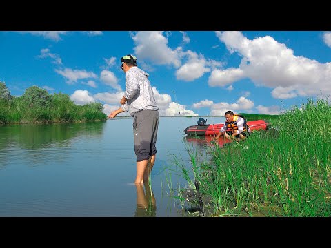 Видео: В ЭТИХ МЕСТАХ ПОЛНО ЗМЕЕГОЛОВА !!! Рыбалка на реке ИЛИ, июнь 2025, 1 часть