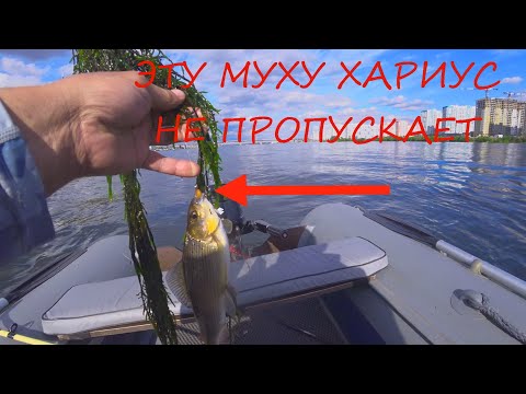 Видео: ХАРИУС В ЧЕРТЕ ГОРОДА.