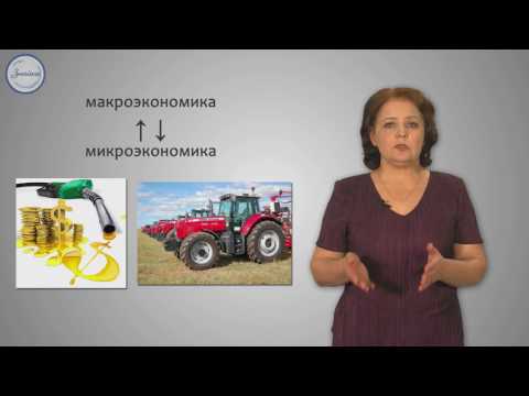 Видео: Обществознание 11 класс. Экономика, наука и хозяйство