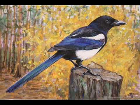 Видео: "Сорока и семь зеленых яиц" монгольская сказка#аудиосказки#сказкинародовмира#сказкислушать