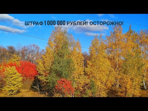 Видео: Можно ли копать с металлоискателем? Штраф 1 миллион!
