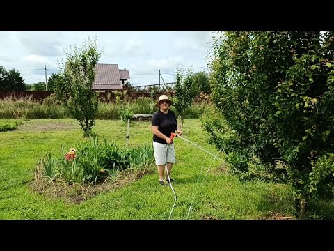 Видео: Летние дела. О советах. Где будем общаться и смотреть видео?