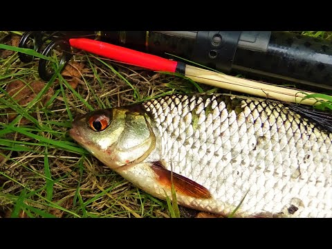 Видео: СЕКРЕТ АРОМАТИЗАТОРА  ОСЕННЯЯ рыбалка на поплавок