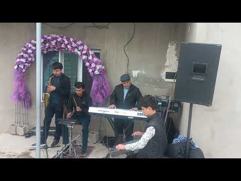 Видео: Туй ш х.тул 904.50.25.50