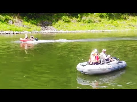 Видео: ЭТО ЖЕСТЬ! МОТОР СДОХ! РЫБАЛКА МЕЧТЫ ПОШЛА НЕ ПО ПЛАНУ! рыбалка с ночевкой и ЦАРСКАЯ УХА1