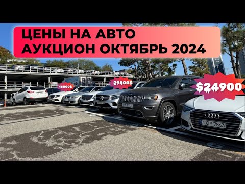 Видео: Авто из Кореи// Цены на Аукционе Октябрь 2024