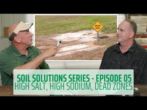 Видео: Серия «Решения для почвы» | Выпуск 5 | Мертвые зоны в почве #здоровьепочвы #регенеративноесельско...