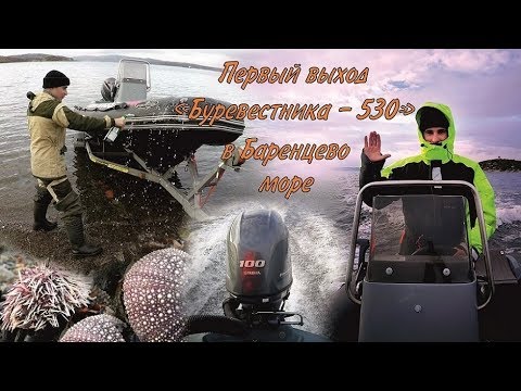 Видео: Первый выход "Буревестника-530" в Баренцево море / The first output in the Barents sea