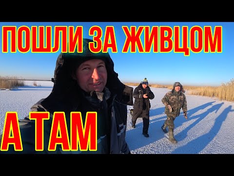 Видео: ПРОВЕРКА ИДЕАЛЬНОЙ БАЛДЫ. В ПОЛЕ.