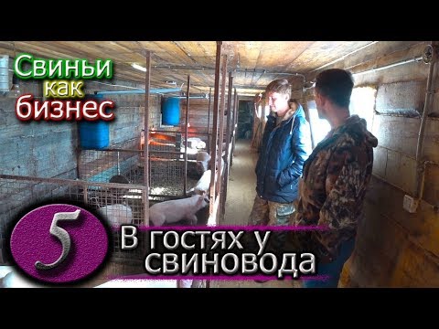 Видео: ГЛУБОКАЯ ПОДСТИЛКА ИЛИ ДЕРЕВЯННЫЕ ПОЛЫ В САРАЕ