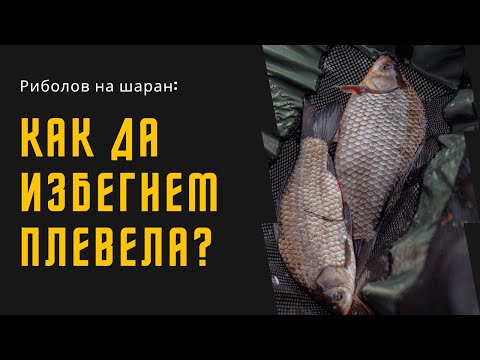 Видео: Риболов на шаран: Как да избегнем плевела?