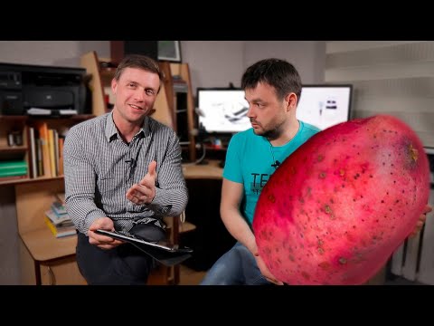 Видео: "Как вылечить язву желудка картошкой за 10 дней" смотрит врач гастроэнтеролог