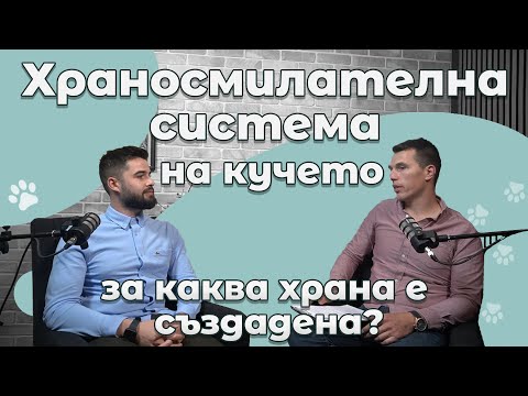 Видео: Храносмилателна система на кучето – за каква храна е създадена?