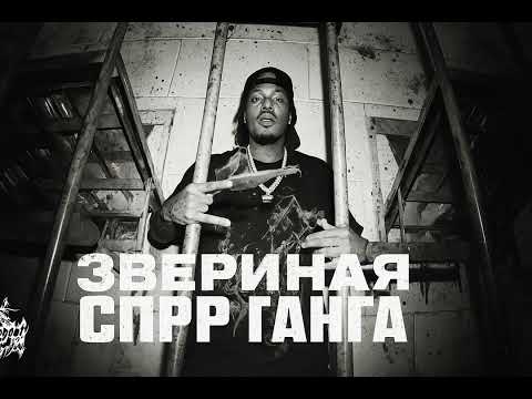 Видео: морские мусорские