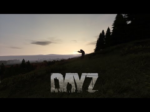 Видео: DayZ Выживание Ратибора.