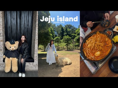 Видео: Jeju vlog: много корейской еды, остров, море, альпаки, музеи