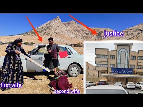 Видео: Обращение в суд: выиграет ли муж этот бракоразводный процесс?