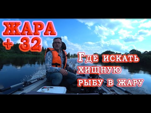 Видео: Рыбалка в жару на спиннинг на реке | Где искать хищника в жару летом | Ловля с лодки на реке