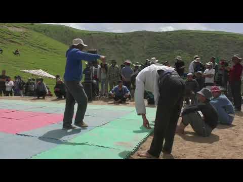 Видео: Гуштини пистамазор 2021 кисми 1