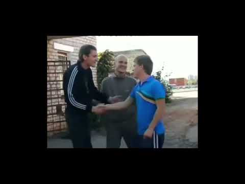 Видео: прослушивание STED.D be like