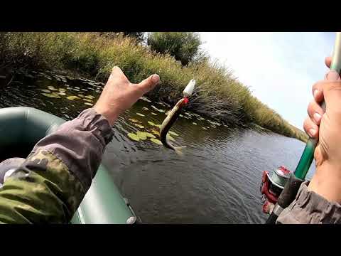 Видео: Рыбалка на речке у трех березок и озеро Имантау.