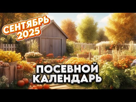 Видео: Агрогороскоп Сентябрь 2025: Лунный посевной календарь для сада и огорода