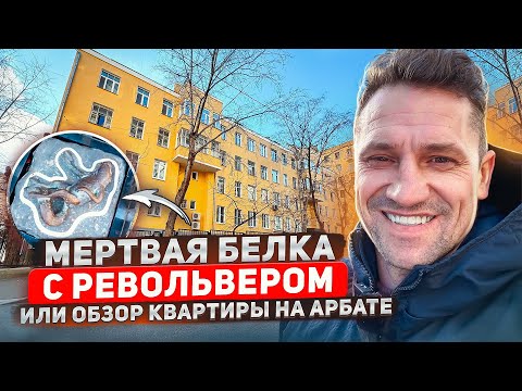 Видео: Арбат! Обзор квартиры и района/цены/#арбат #квартиры #цены #большаяникитская