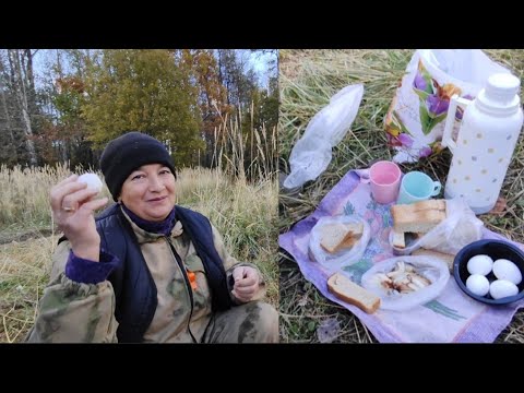 Видео: Собираем малюсенькие ОПЯТА // лечим суставы🥴😅// перекус на природе 😋//