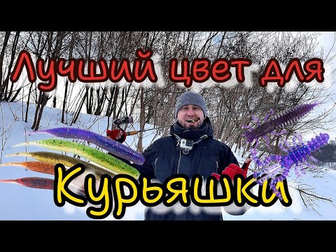 Видео: Зимний Спиннинг. Судак, карась на спиннинг. ТОП цвет приманки  зимой на Курьяновском водосбросе.