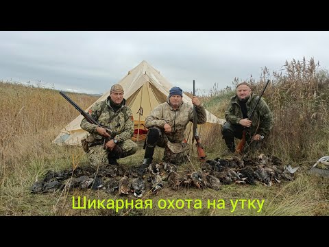 Видео: Столько утки я еще не видел. Охота на утку осенью. Стволы неуспевали остывать.