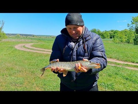 Видео: СТРИБАВ ПРЯМО В ВОДУ ЗА РІЧКОВОЮ ЩУКОЮ! РИБАЛКА НА СПІНІНГ